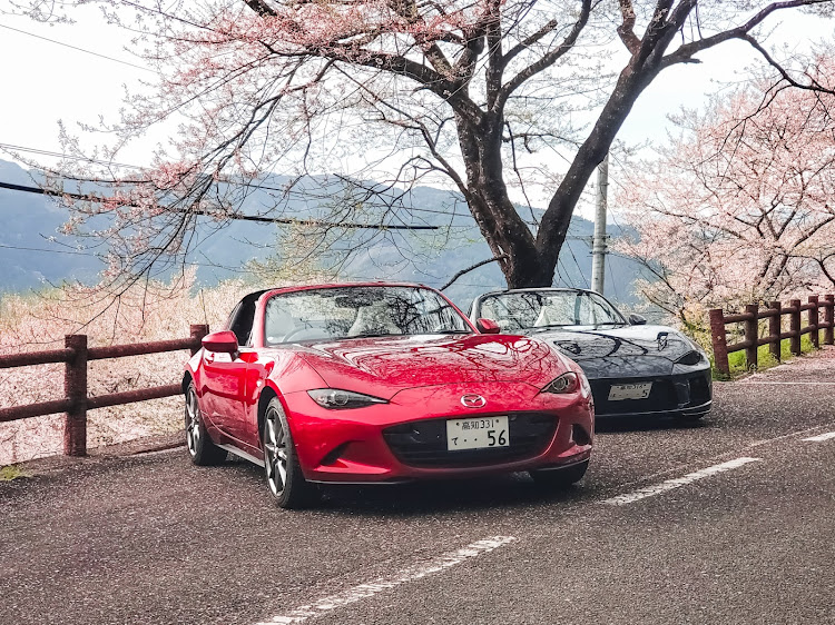ロードスターのサクラと愛車・高知・オープンカーの日に関するカスタム事例の投稿画像3枚目
