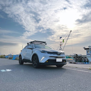 C-HR NGX50