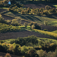 Campincollina di 