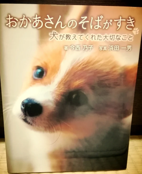 「なんでどうして生きてるばん1話」のメインビジュアル