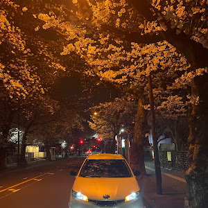 ウィッシュ ZGE21G