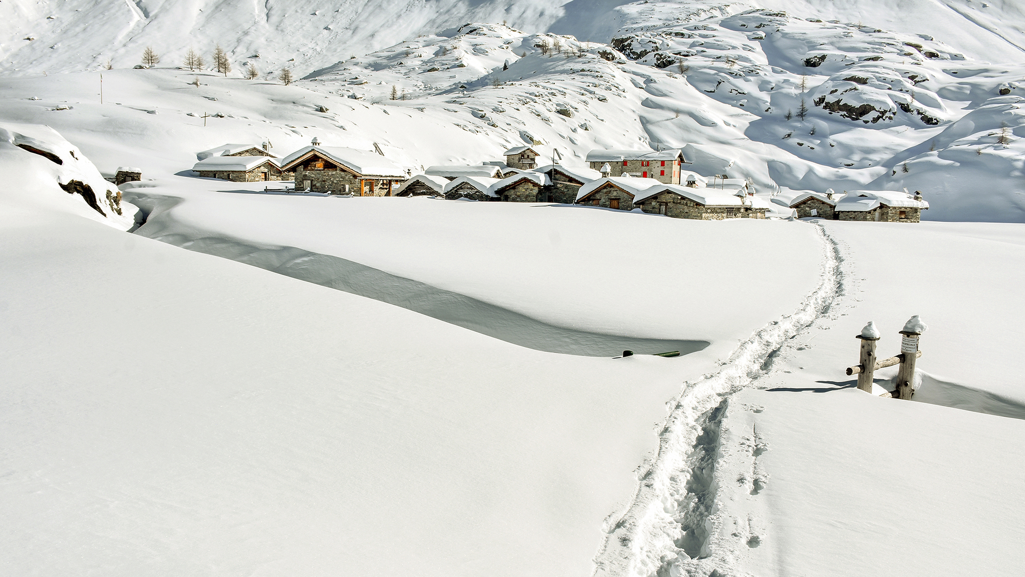 Candida coperta di LorenzoVitali