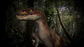 Florida Dinosaur and More thumbnail