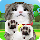 Talking Cat - Basbos Download on Windows