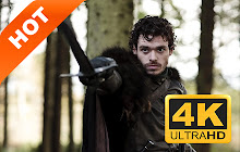 Robb Stark Pop HD TV Drama New Tab Theme small promo image