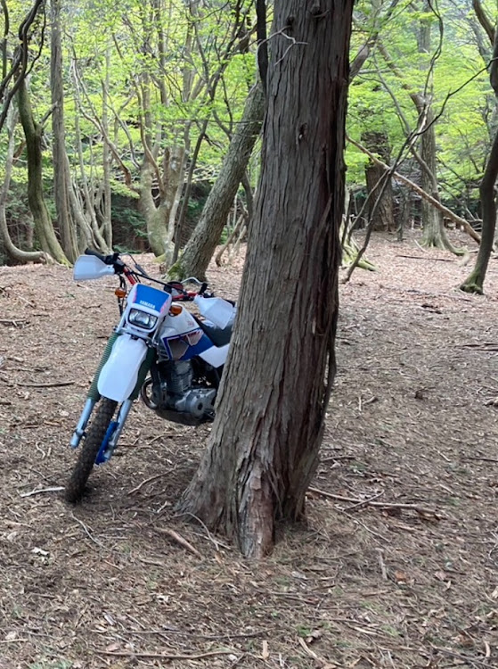 BRZのユメタマ(ラフェ)さんが投稿したカスタム事例の投稿画像3枚目