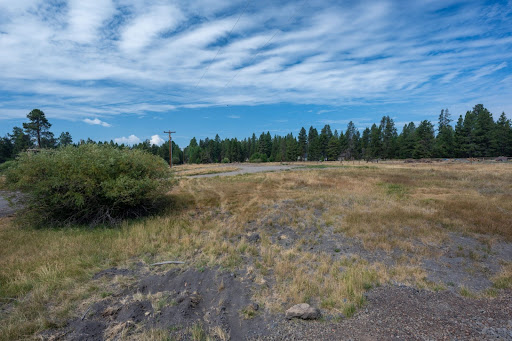 Terrain 5