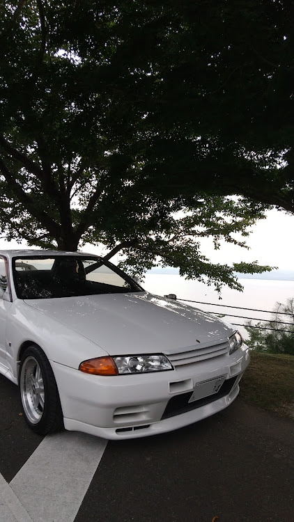 みみさんが投稿した奥琵琶湖パークウェイ・ソニック・スカイラインGT-R・メタセコイヤ並木・あのベンチに関するカスタム事例の投稿画像8枚目