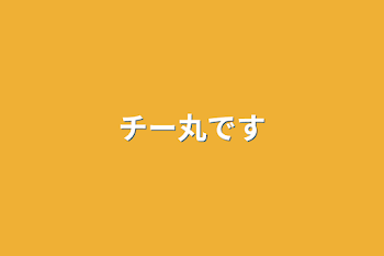 チー丸です