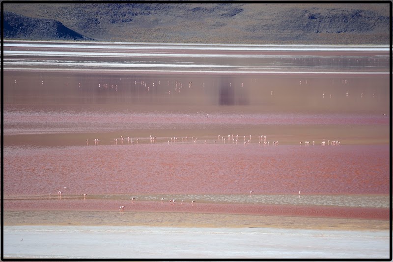 TOUR SALAR UYUNI I. EL ASOMBROSO PARQUE EDUARDO AVAROA - DE ATACAMA A LA PAZ. ROZANDO EL CIELO 2019 (24)