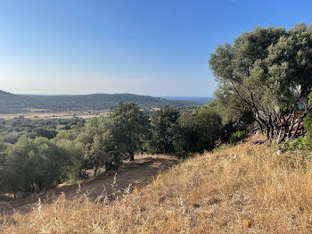 terrain à L'Ile-Rousse (2B)