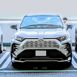 RAV4 MXAA54