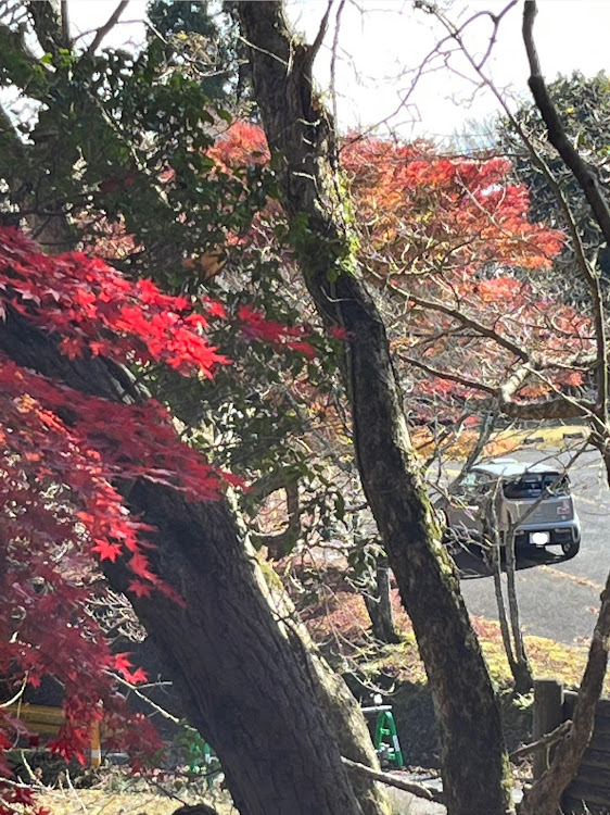 の投稿画像10枚目