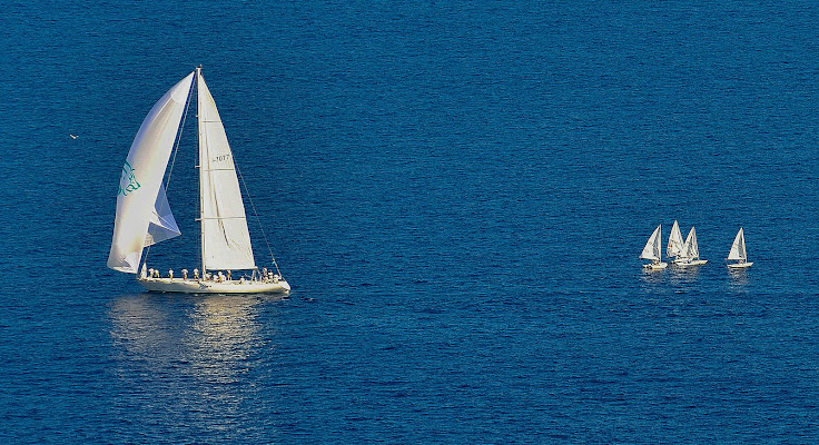 La vela e i suoi piccoli di Ocram