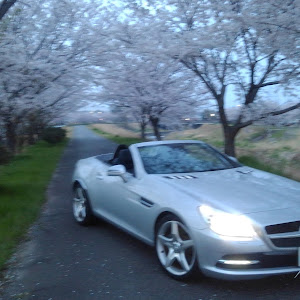 SLK R172