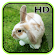 Cute Animal APUS Live Wallpaper icon