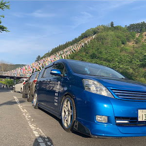 アイシス ANM10W