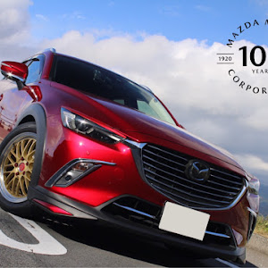 CX-3 DKEFW