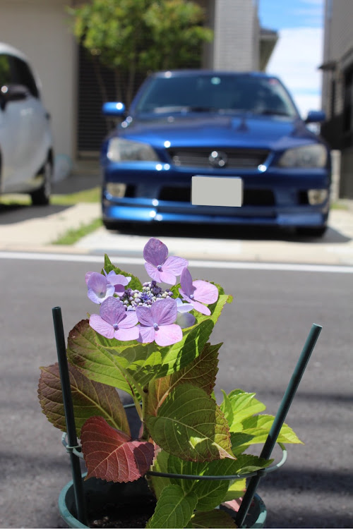 の投稿画像6枚目