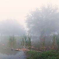 Il silenzio di 