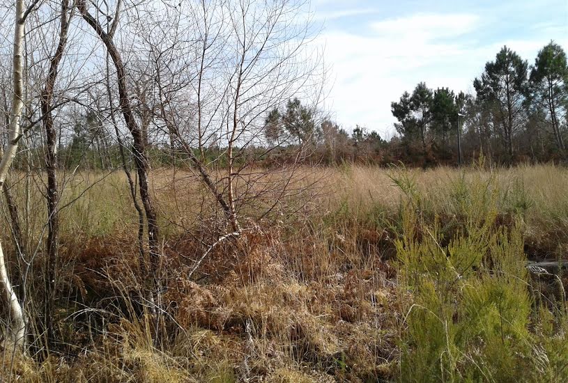  Vente Terrain à bâtir - à Lesparre-Médoc (33340) 