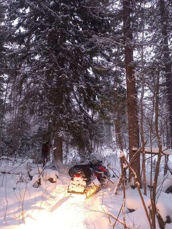 Original88さんが投稿したwinter・ski-doo・skandik・forestに関するカスタム事例の投稿画像1枚目