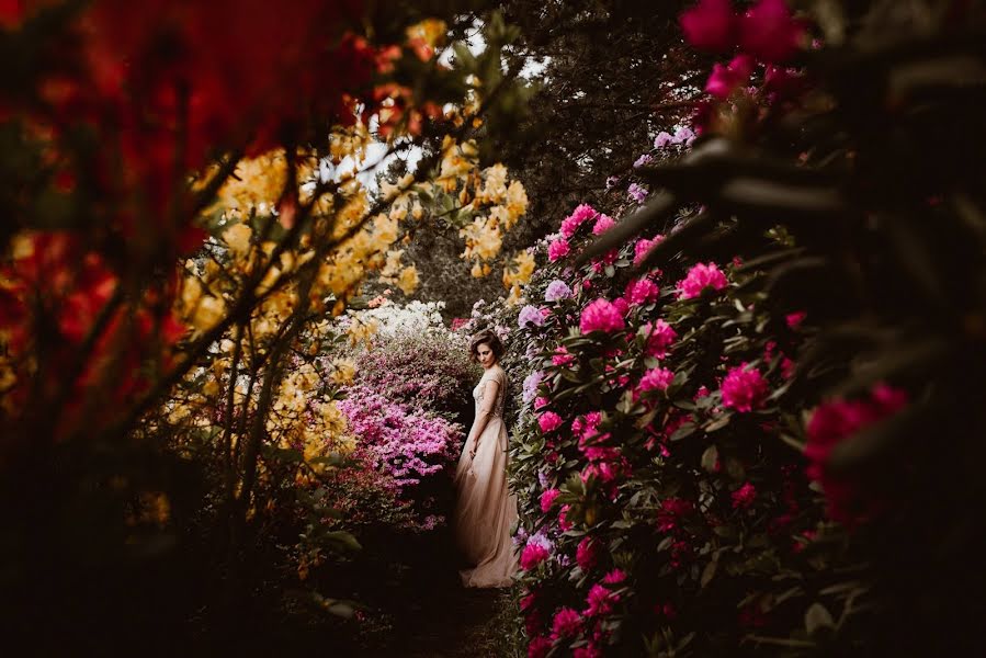 Photographe de mariage Ewelina Zięba (ewelinaphoto). Photo du 25 février 2020