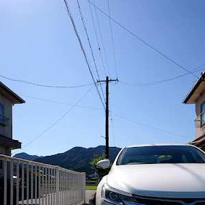 マークX