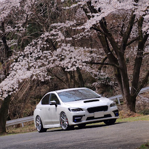 WRX S4 VAG