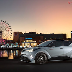 C-HR ZYX10