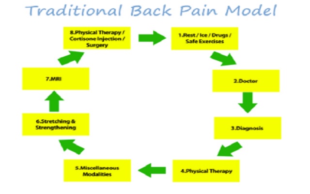 Lower Back Pain Relief During Workouts Preview image 5