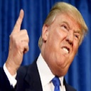 Donald Trumpet-arse