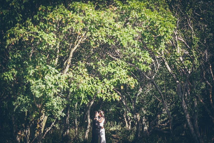 Fotografo di matrimoni Igor Matey (imatey). Foto del 6 gennaio 2015