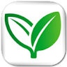 Home Remedies (Lite) icon