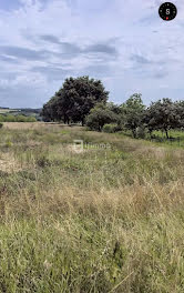 terrain à Saint-Astier (24)