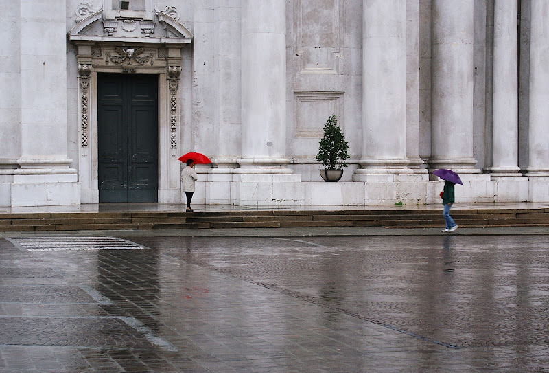 Giornata in B/N di Amadeus