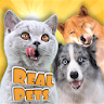 CatDog Games: Pet Simulator icon