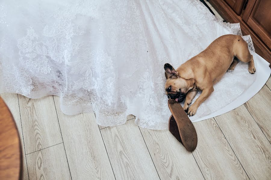 Fotografo di matrimoni Michał Misztela (michalmisztela). Foto del 5 luglio 2019