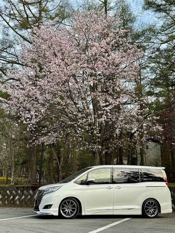 エスクァイアの撮る人を撮る・ポートレート撮影・サクラと愛車に関するカスタム事例の投稿画像2枚目