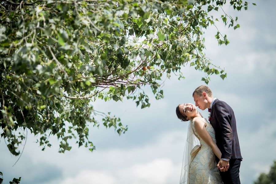 Hochzeitsfotograf Dmitriy Cherkasov (wedprof). Foto vom 28. Oktober 2015