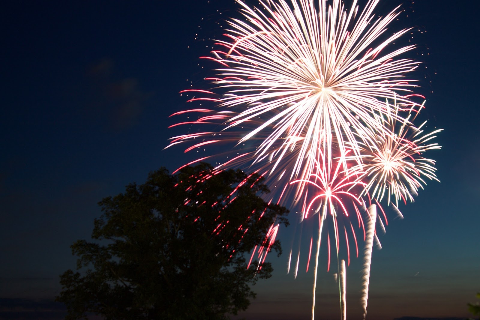 Independence Day Events in WA