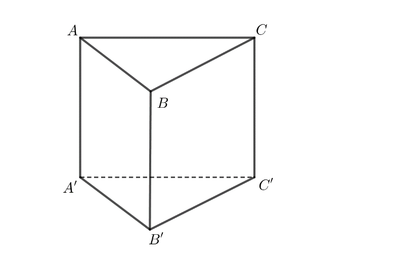 Cho hình lăng trụ tam giác đều (ABC.A'B'C') có (AB = a) và (AA' = asqrt 3 ).</p> 1