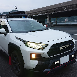 RAV4 MXAA54