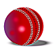 Download Hit Cricket HD- Mobile Finger League For PC Windows and Mac 1.2