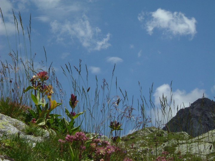 Incantevole silenzio di mariamapelli