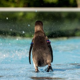 埼玉県こども動物自然公園