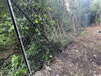 Chain Link Fencing album cover