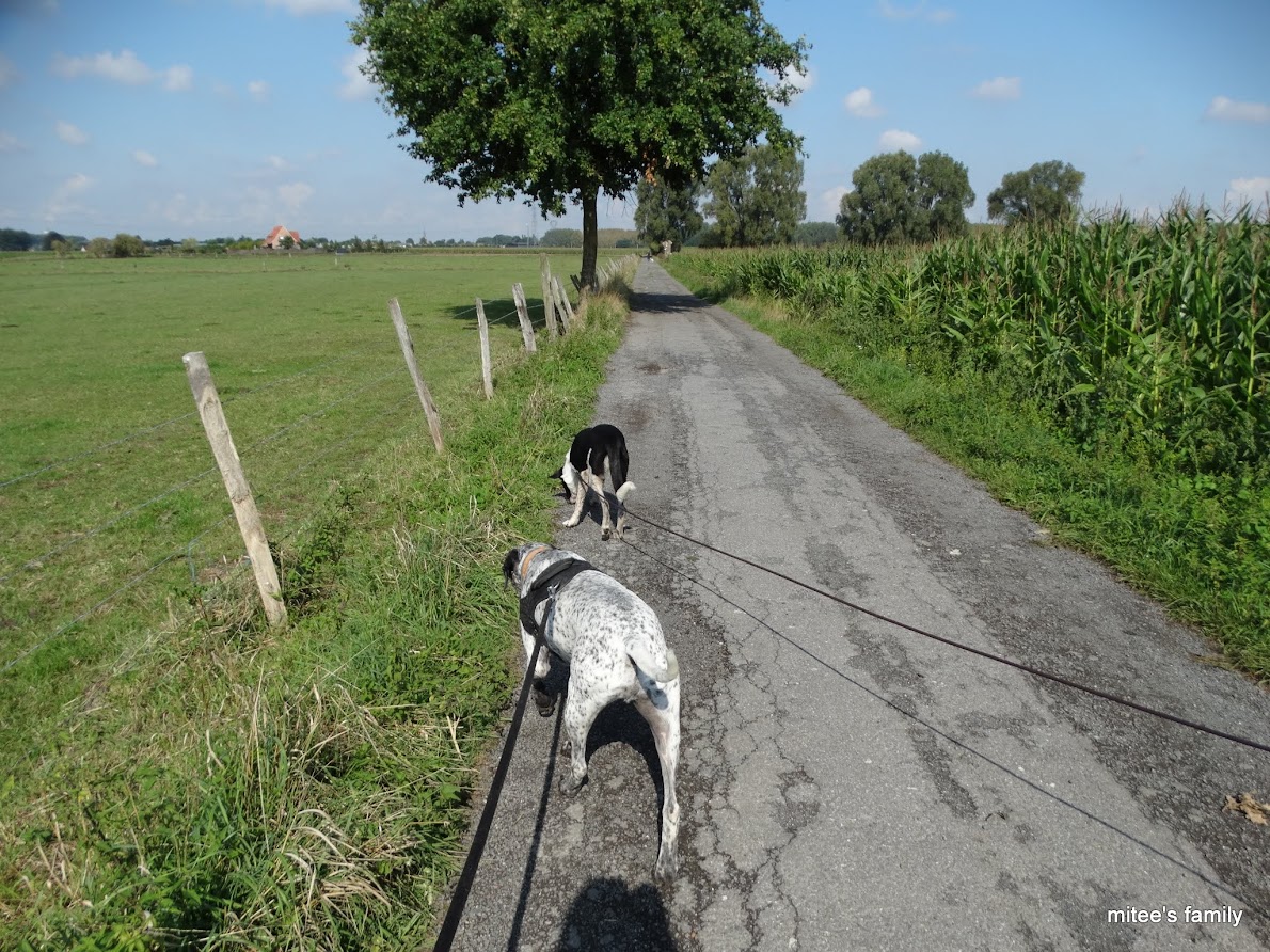  - Neva, jeune border collie ADOPTÉE   - Page 2 PXfadpoNQUkXTZPMqFBtKCh78GSnJksWJZfbamBFe7x2P56IjUTG2BdHIvhy97ryAR-HCx1rK2oNkhV75EjsKbE8ocvHwUv7p82TUs3GyCn___v4eu8_pWF4rzrOVbrp1vMV7P-et4o6v6wSCFXHxxGt_DF07MtZ04TDBAN_ZqsStTCQJq1wPPypn7lhjWEN7j0mPxCW2UUE3mdkQOJ3s6lqaZATvEjMMJGRlaw12Wx_SrIVtT0E2YAeKyW8Wb3DZJy2D6CKQKQosUXzupDni9k5EYfX4z6LaqpacfPqW6gHE5CiOIctTjmLw7bQZQX0zK3lLEmhiKNnVRN01Qrw1fjEMm-IHwS5pfDDREkyPebnZW9tu30zbXOd_RVOOJhs3IhiOFcyuWA2716UBepFvP_AhmbFNxjEumWtT_w4B6QovbSACkwaUGnbKtwKOJ1SoaZ-YNiUnfLNqMEnJ3j_f74EQDU6SK-yNR0-GUD00IMKDa7nYOb7qcmpV8hEahjs9KTLMjNz0kmzsCY1Ppw6hTj9CAgnDEecn2NuUJEKU603YKAIXL-3e9sb4ugiDsP6iPl4vv_SNKRCtXjKNIeM4pC-W5seFtOqLiQMnpinUOc=w1190-h892-no?pageId=102314735241138359955