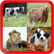 Learn Animals for Kids Free  Icon