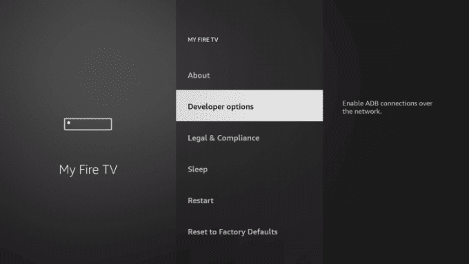 Select Developer Options